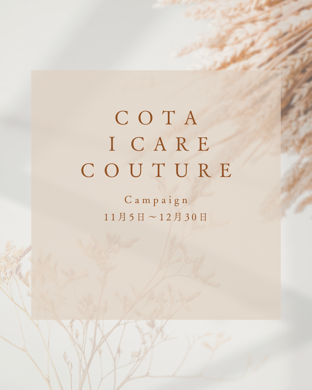 年末COTAキャンペーンのお知らせ